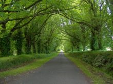 Living Your Purpose Meditation Class