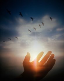Manifest Your Dreams Workshop